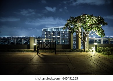 A bench and a tree in the rooftop garden during a clear night. A peaceful urban relaxing place after work.