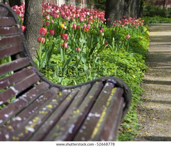 Bench Tulip Flower Bed By Garden Transportation Parks Outdoor