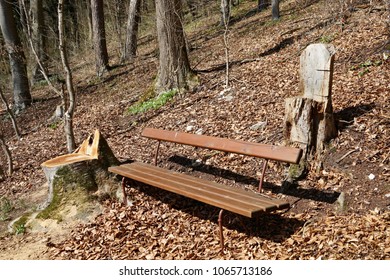 
Bench and two tree stumps as seats