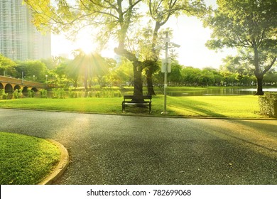 Bench under tree in front of ray of sunrise on morning at park. - Powered by Shutterstock