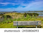 Bench with a view of Elkhorn Slough
