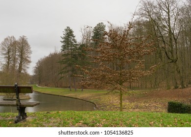 A bench with a view of the pond and forest. Belgium 2018