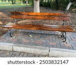 bench, wooden bench on forged casting