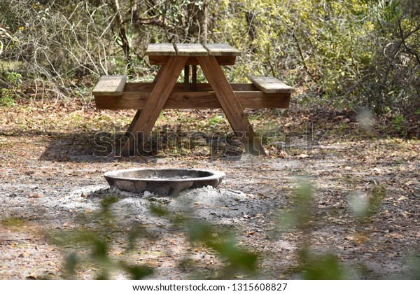 Bench Woods Fire Pit Stock Photo Edit Now 1315608827