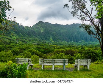 Benches Overlooking The Breathtaking View At Hoomaluhia Botanical Gardens