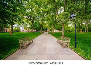 Benches And Walkway At Independence Mall, In Philadelphia, Pennsylvania.