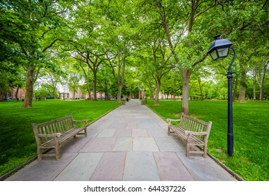 Benches And Walkway At Independence Mall, In Philadelphia, Pennsylvania.