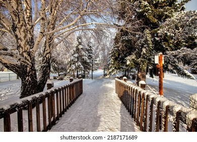 Bend Oregon City Park ( Mirror Pond ) Winter  2022