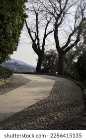 Bend  in a paved path of a park bordered by bare trees and a hedge on a cloudy day