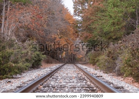 a bend in the railroad track with autumn colors