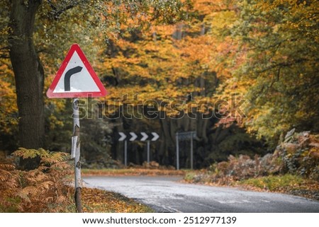 Bend to right warning sign in Epping Forest, London, amidst a backdrop of vibrant autumn foliage