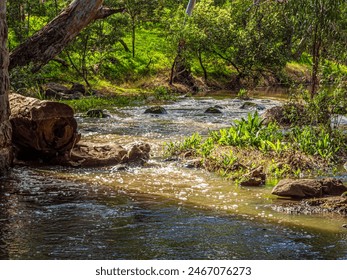 Bend In Rocky Shallow Creek - Powered by Shutterstock