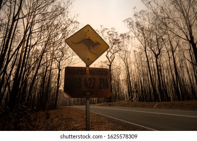 Bendalong Australia - January 23 2020: Burned Kangaroo Road Sign After The Bushfire, Australia