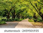 Bendigo, Victoria, Australia: Autumn (fall) trees in Rosalind Park, Bendigo