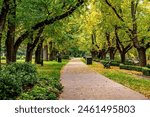 Bendigo, Victoria, Australia: Autumn (fall) trees in Rosalind Park, Bendigo