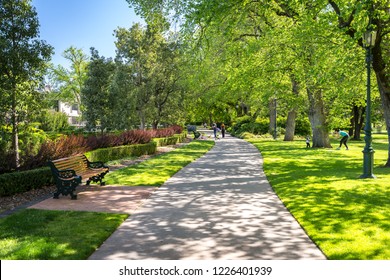 66 Rosalind park Images, Stock Photos & Vectors | Shutterstock