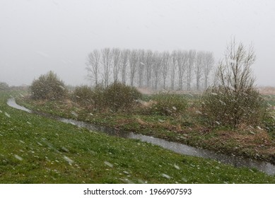 Bending Creek In A Wetland Nature Reserve With Bare Trees, Grass And A Snow Storm