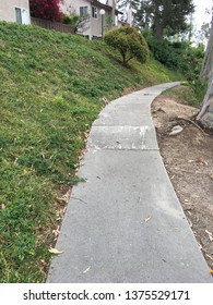 Bending Root Exploded Sidewalk By A Soft Grassy Hill In Fullerton, CA.