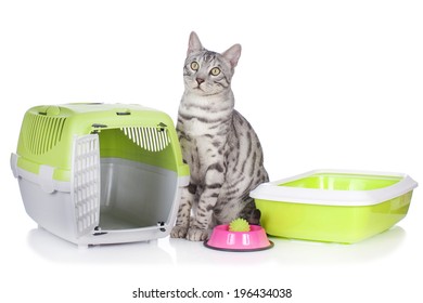 basic litter box