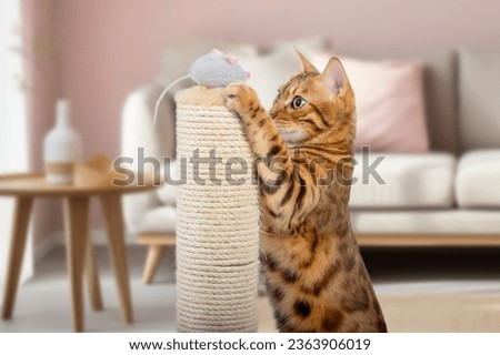 A Bengal cat plays with a plush mouse on a scratching post. Cat and scratching post.