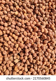 Bengal Gram Seeds Food Grain