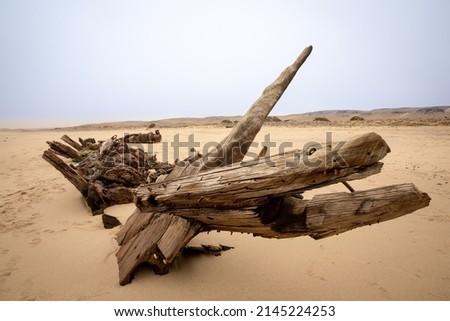 Benguela Eagle shipwreck, , which ran aground in 1973, on the C34-road between Henties Bay and Torra Bay in the Skeleton Coast area of Namibia.
