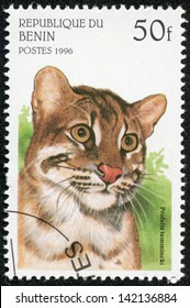 BENIN - CIRCA 1996: A Stamp Printed In Benin Shows Profelis Temminckii Or Asian Golden Cat, Series, Circa 1996