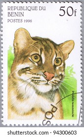 BENIN - CIRCA 1996: A Stamp Printed In Benin Shows Profelis Temminckii Or Asian Golden Cat, Series, Circa 1996