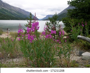 Bennet Lake, End Of Chilkoot Trail