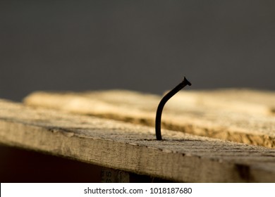 Bent Rusty Nail in Wood Plank