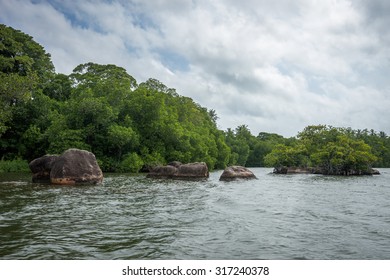 Bentota River.