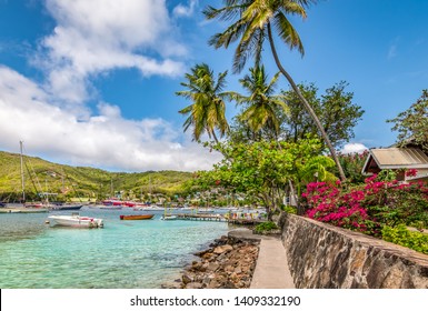 Bequia Island With Palm Trees At The Harbor.