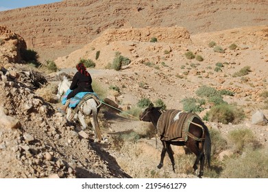 Berber Women On The Road