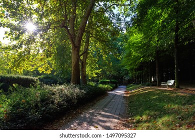 Bercy Park In Paris City