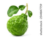 Bergamot fruit with stem and leaves isolated on white background. Clipping path.