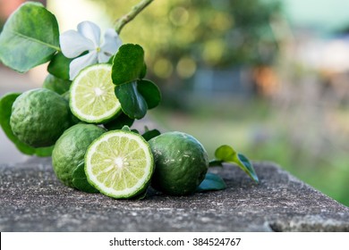Bergamot and  green leafs with white flower 