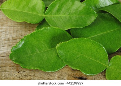 Bergamot Leaves 