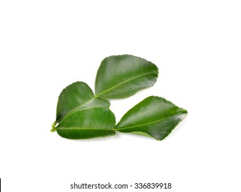 Bergamot Leaves On White Background