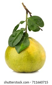 Bergamot Orange Green Chinese Isolated On White Background.