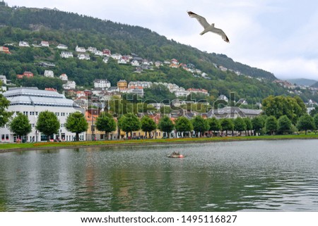 Similar – Image, Stock Photo Bergen