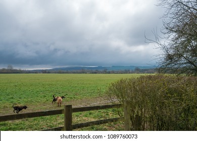 Berkshire Downs In Rural Oxfordshire, England, UK