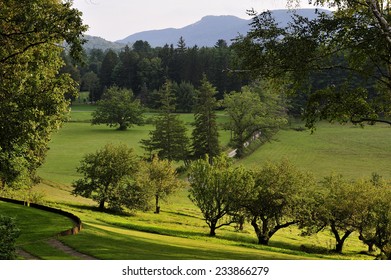 Berkshires, MA, USA -September. 1. 2011: Field Of Summer Grass And Forest At Naumkeag Estate In Stockbridge, State Of Massachusetts, USA