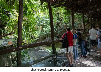 268 Zoolog garten Images, Stock Photos & Vectors Shutterstock