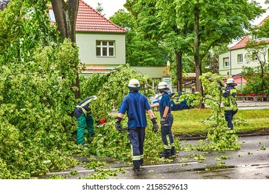 Berlin, Germany - June 12, 2019: An uprooted tree lying on a major road in Berlin, Germany, after a heavy storm. Firefighters are cutting it to clear the road.