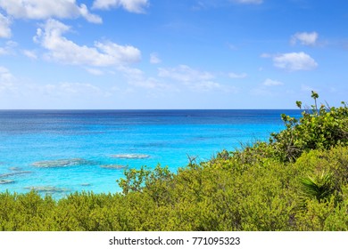 A Bermudan View