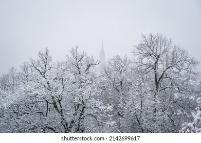 Bern In Winter With Snow Covered Trees And Berner Münster