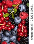 Berries background. Summer berries background. Blueberry, raspberry red currant and blackberry mix. Berry background. Fresh berry mix. Berries for berry background.