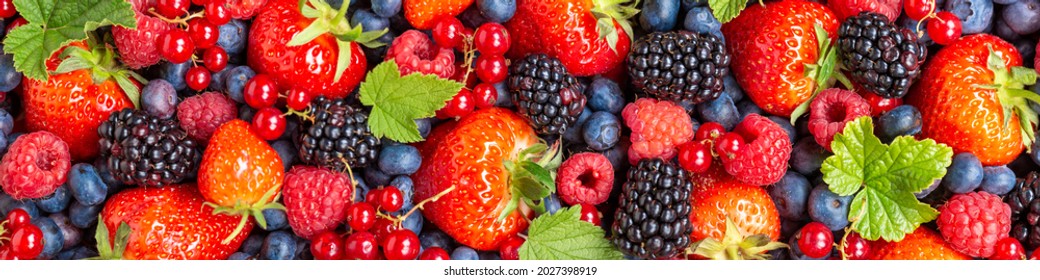 Berries fruits berry fruit strawberries strawberry blueberries blueberry panorama background from above
