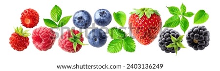 Berries set. Wild strawberry, raspberry, blueberry, strawberry, blackberry, leaf. Collection of various fresh berries and leaves isolated on white background.