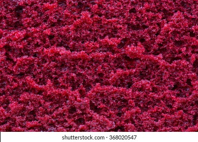 Berry Cake Texture, Love Cake